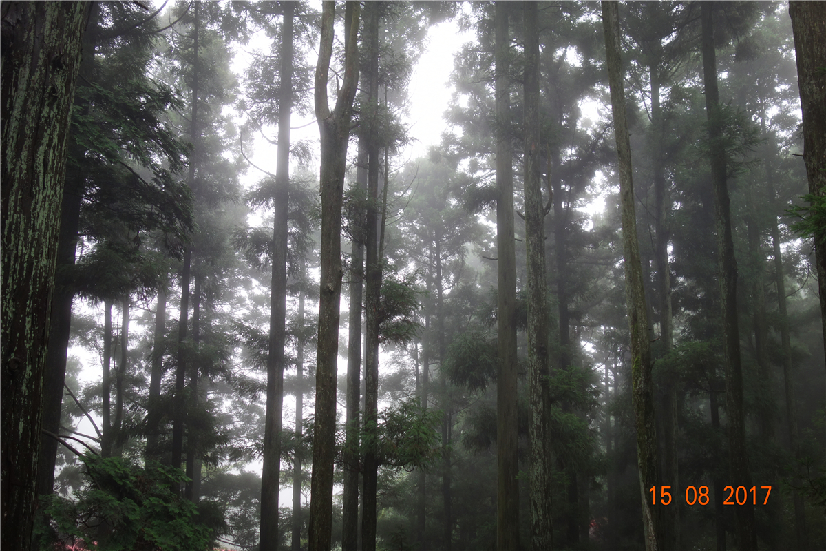 304am永利集团官网(中国)有限公司-Official Website